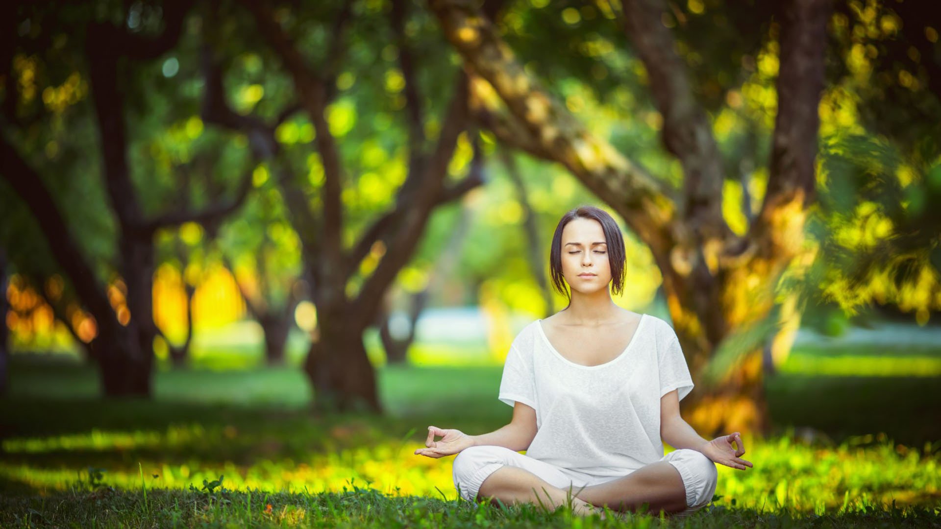 橙色风暴与红色孤影，雷诺的团队胜利，勒克莱尔一个人的王朝